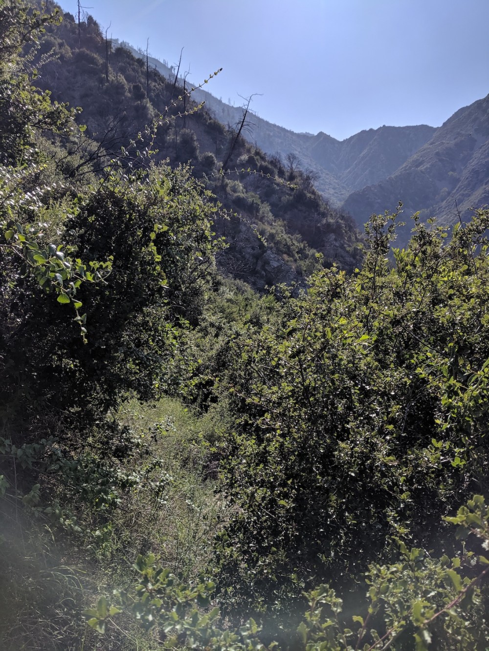 IMG_20190512_163852_resized