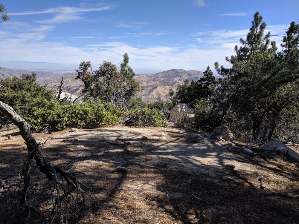 IMG_20190803_093308_resized