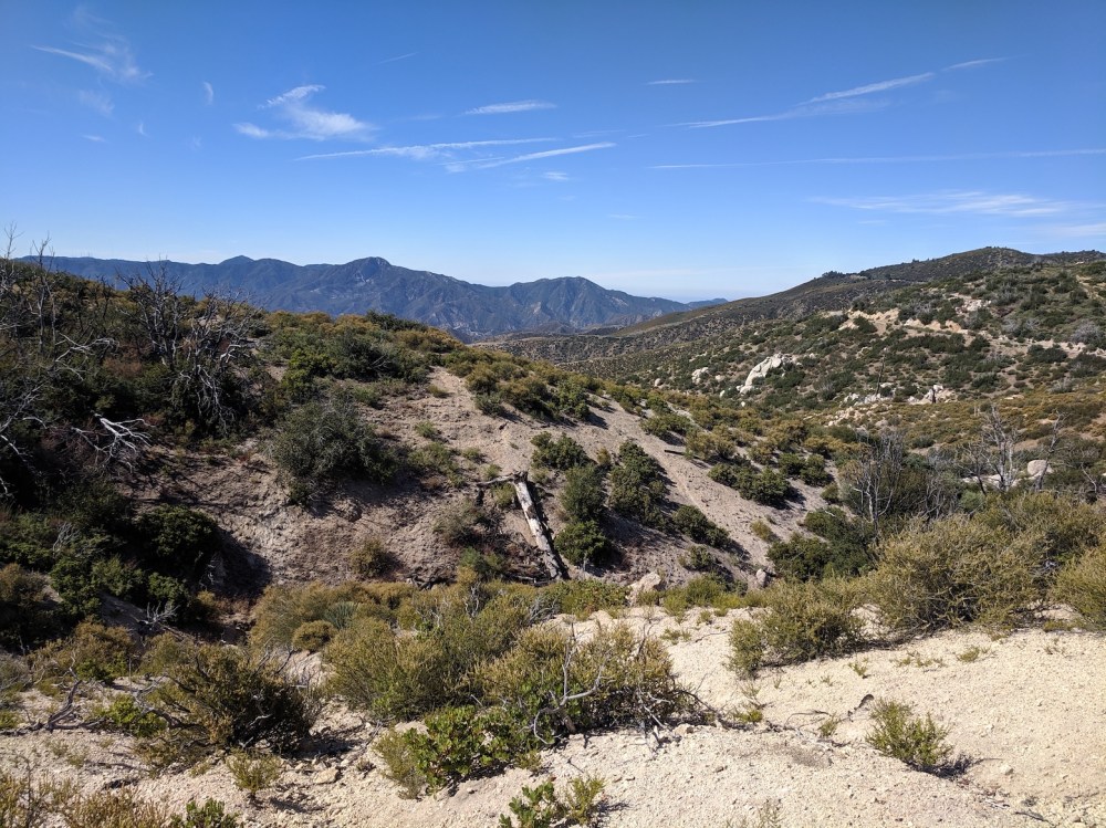 IMG_20190803_093931_resized