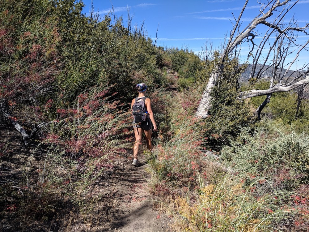 IMG_20190803_094847_resized