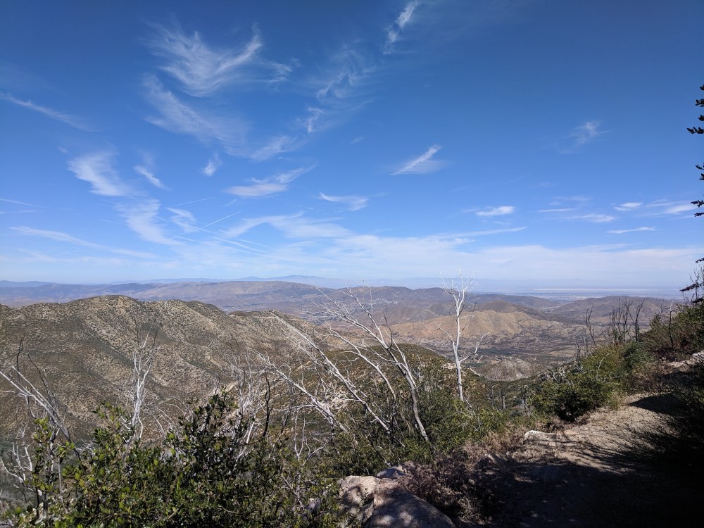 IMG_20190803_105206_resized