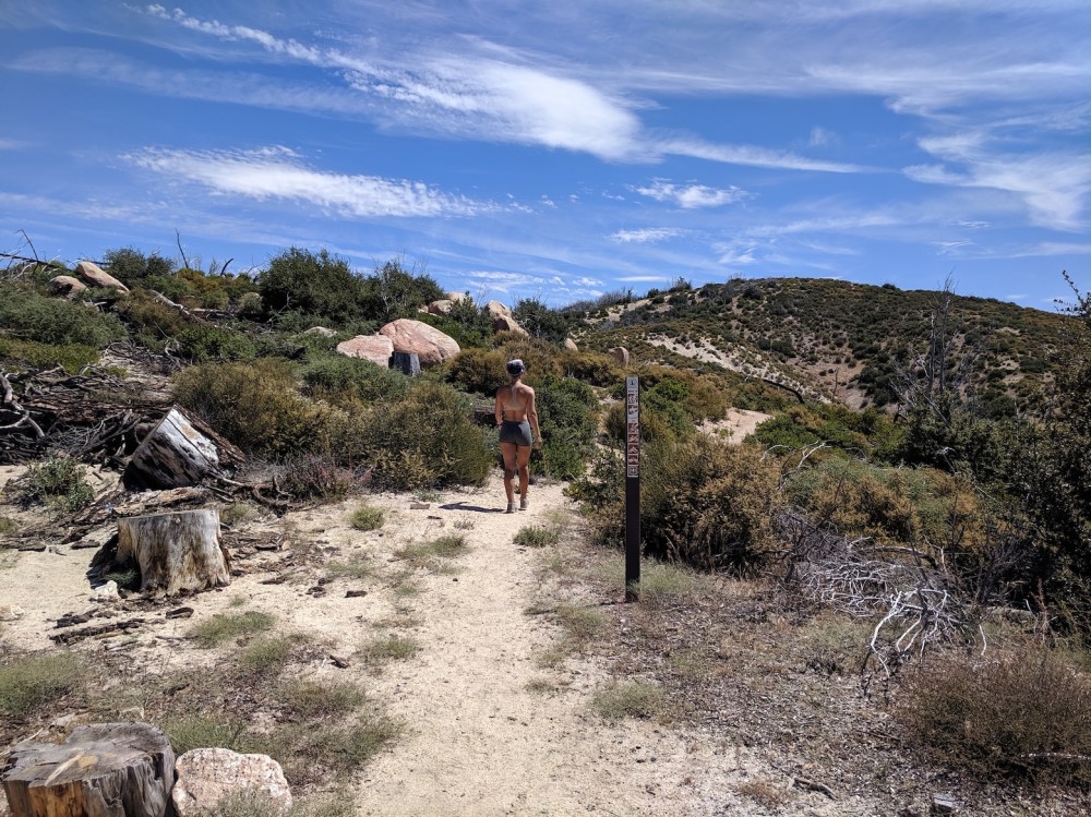 IMG_20190803_112159_resized