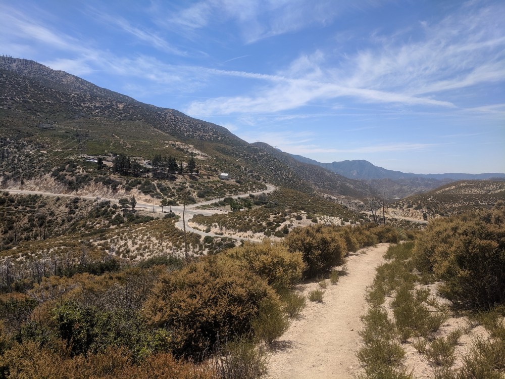 IMG_20190803_121909_resized