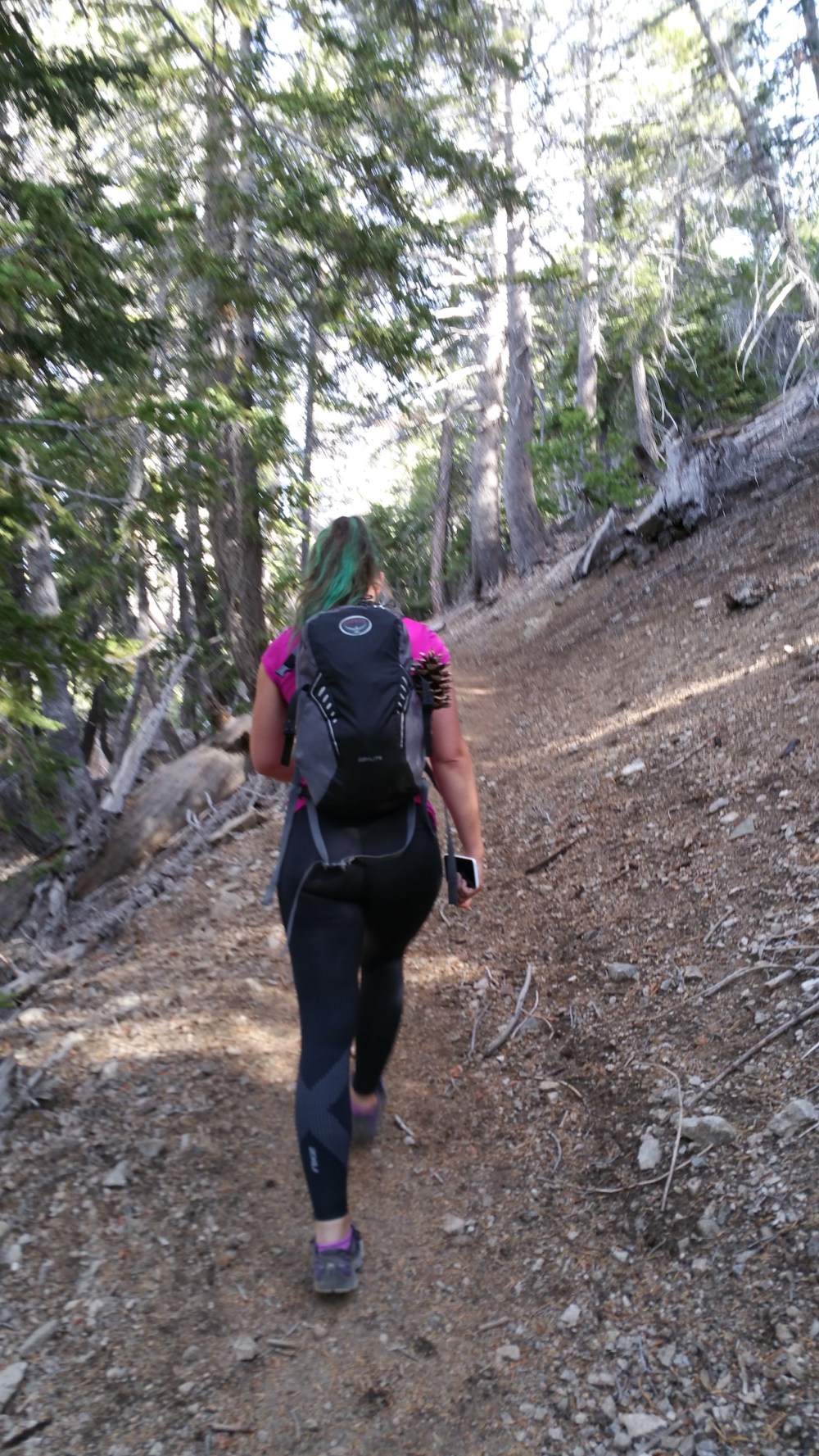 2016-11-06 12.42.29_resized