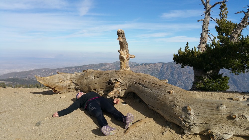 2016-11-06 14.22.38_resized