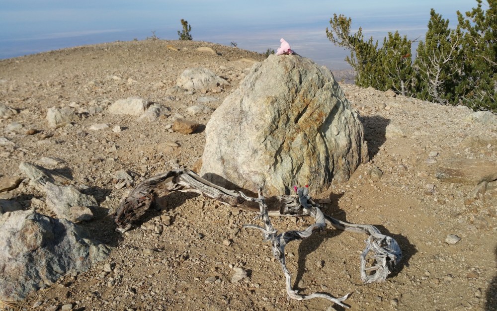 2016-11-06 14.27.14_resized