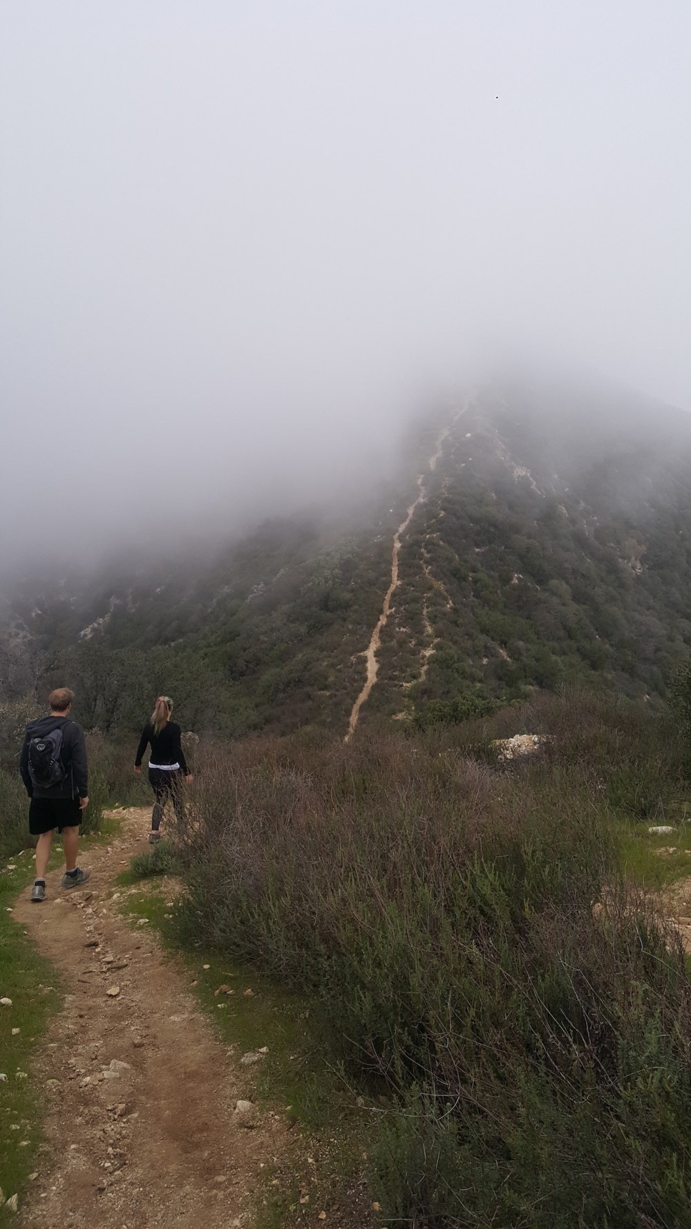 20170325_172941_resized