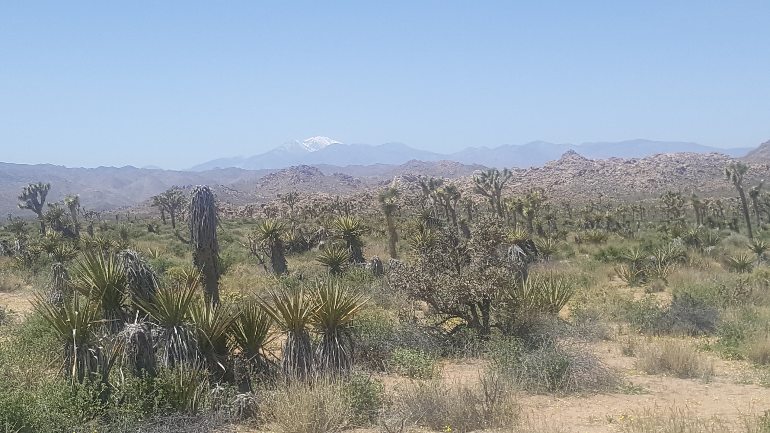 20170415_125449_resized