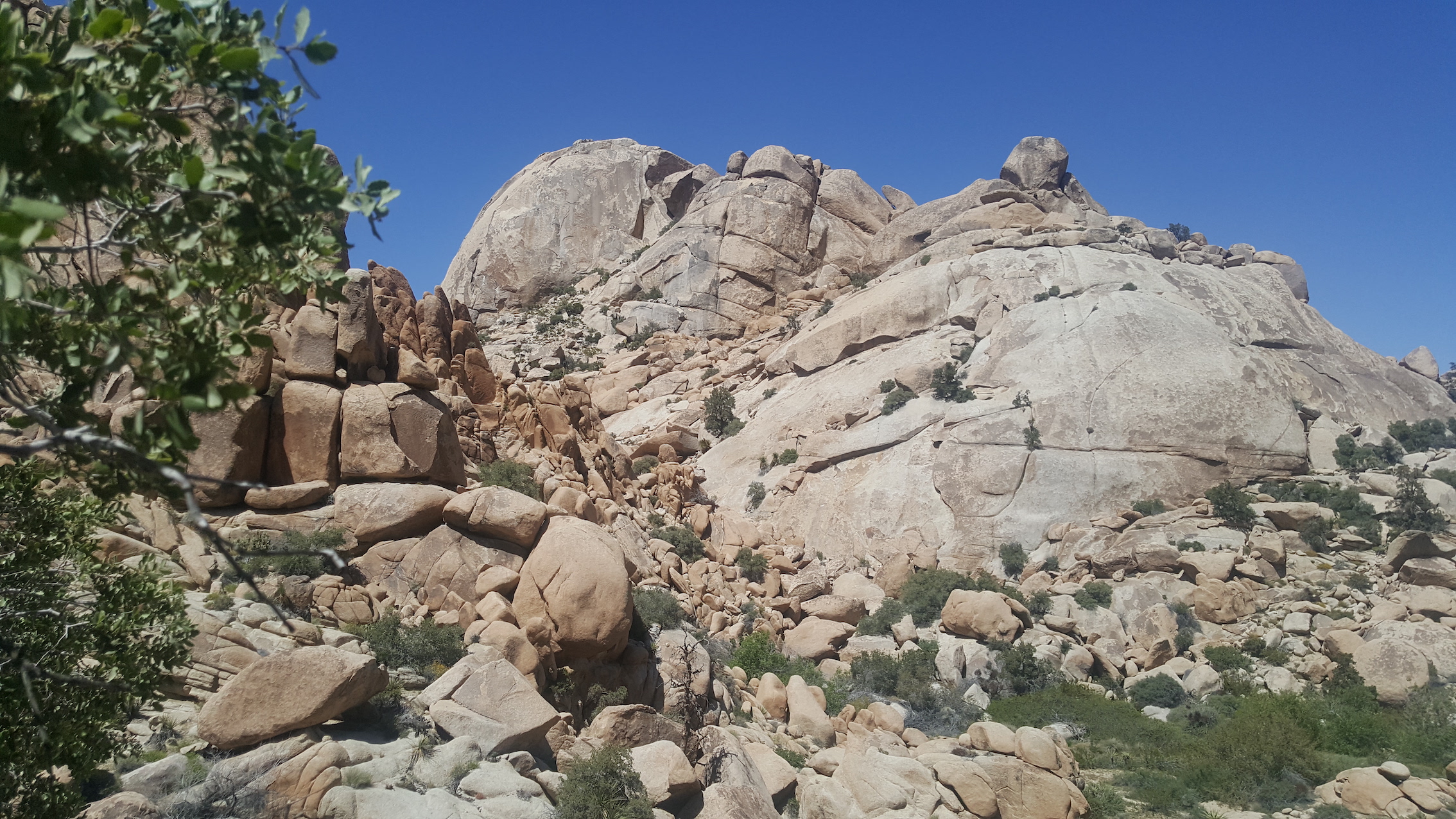 20170415_134554_resized