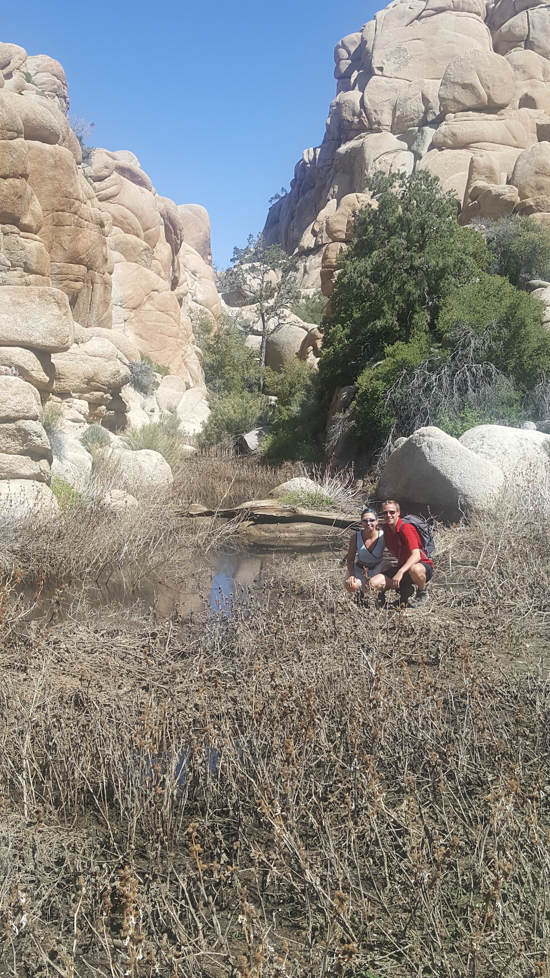 20170415_143938_resized