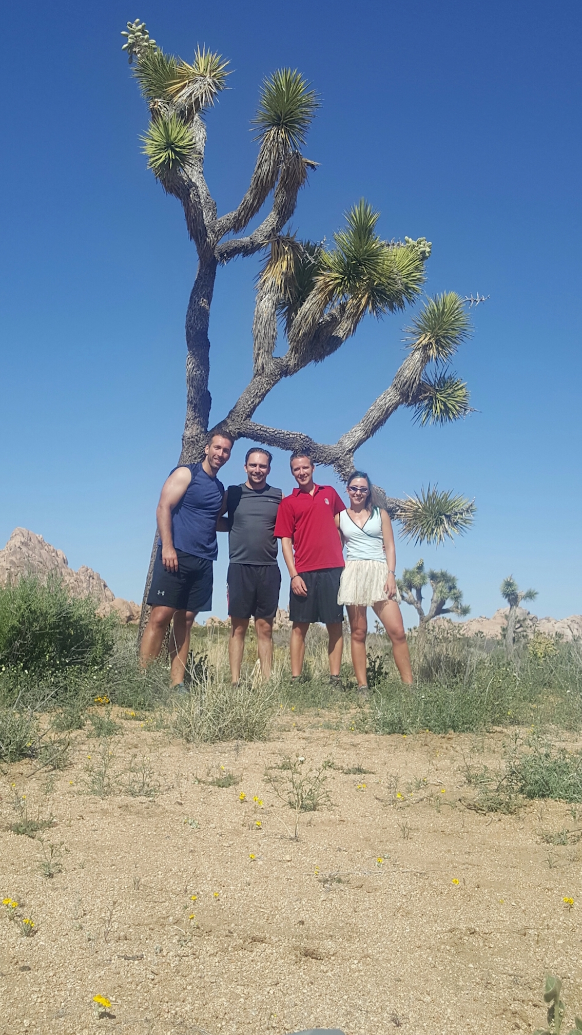 20170415_233842_resized