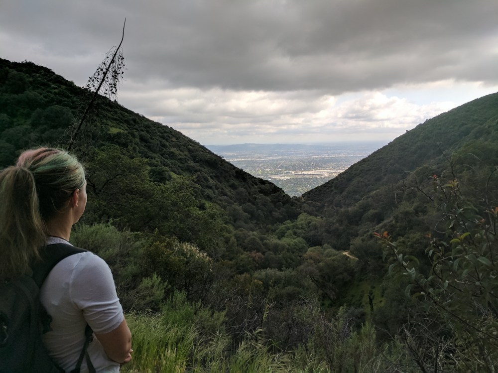 IMG_20170325_160854_resized