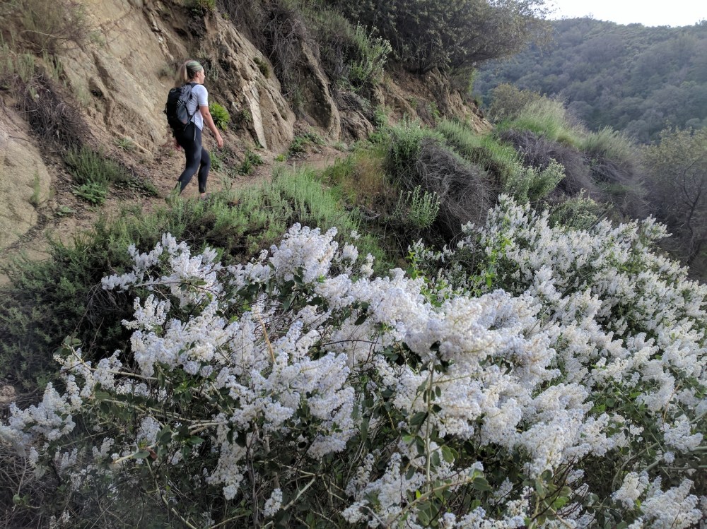 IMG_20170325_161142_resized