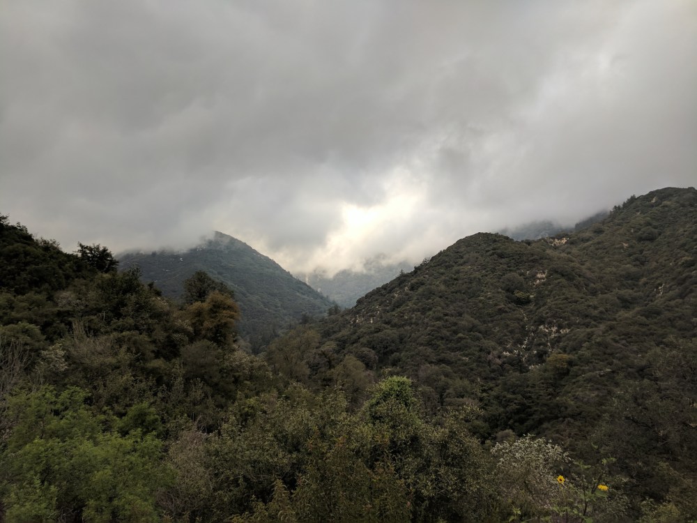 IMG_20170325_162757_resized