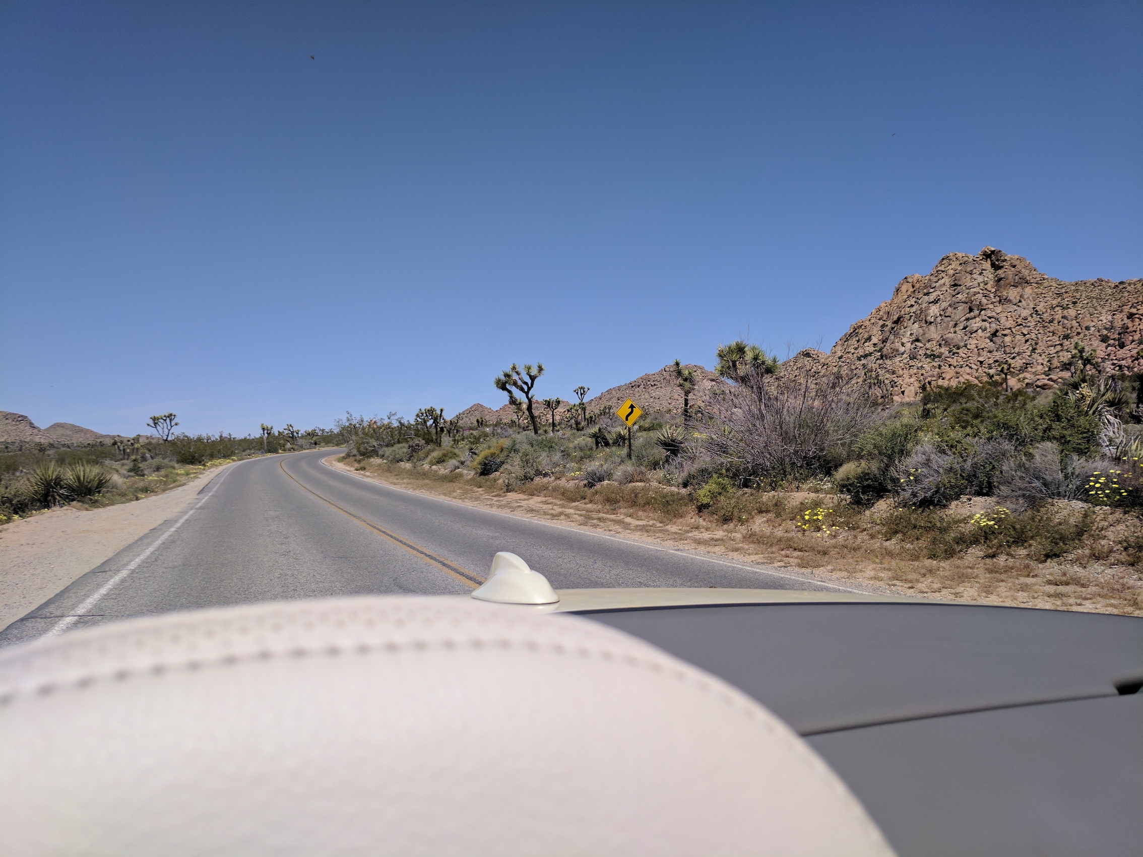 IMG_20170415_120919_resized