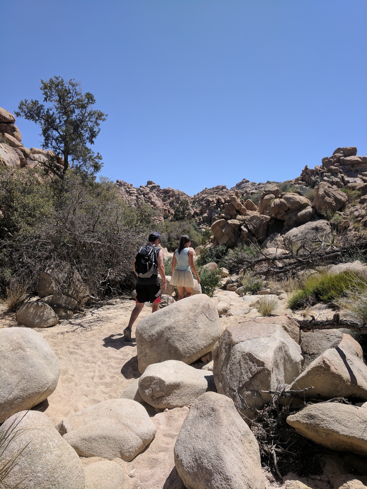 IMG_20170415_132054_resized