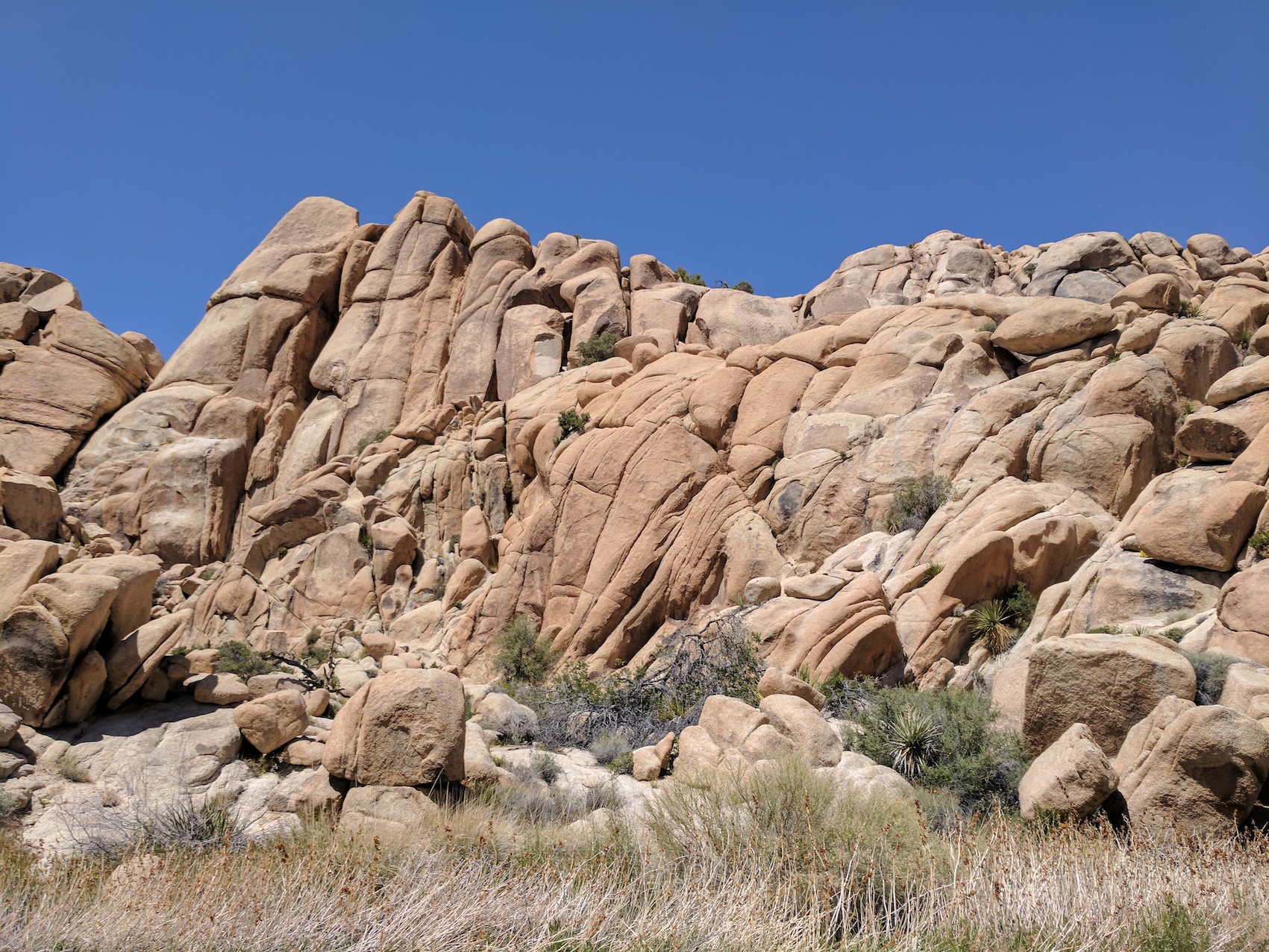 IMG_20170415_133338_resized