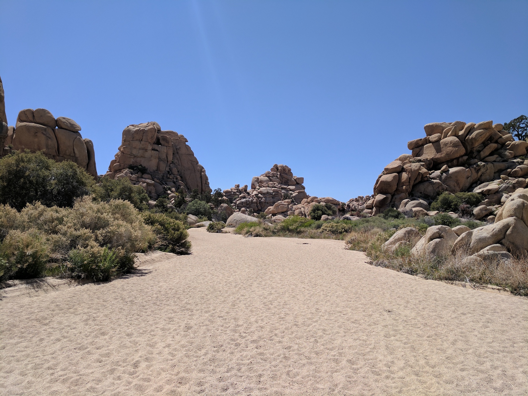 IMG_20170415_133341_resized