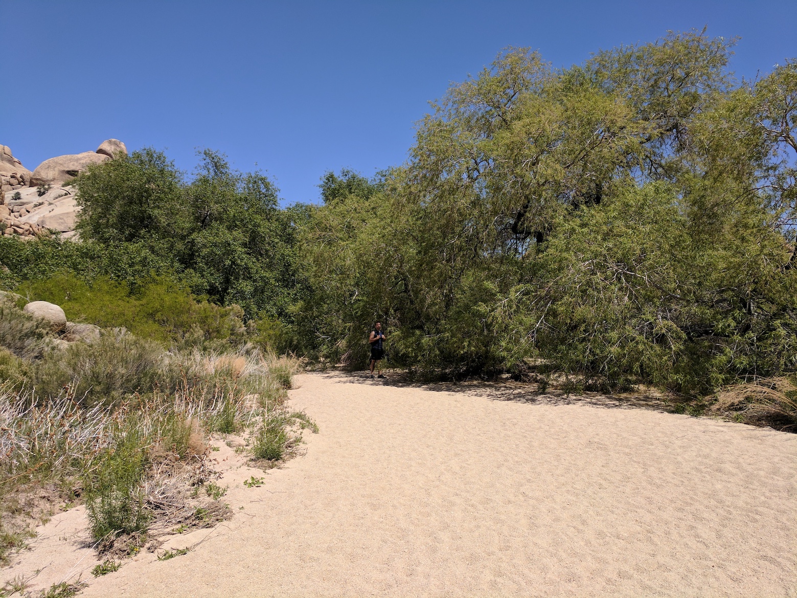 IMG_20170415_133430_resized