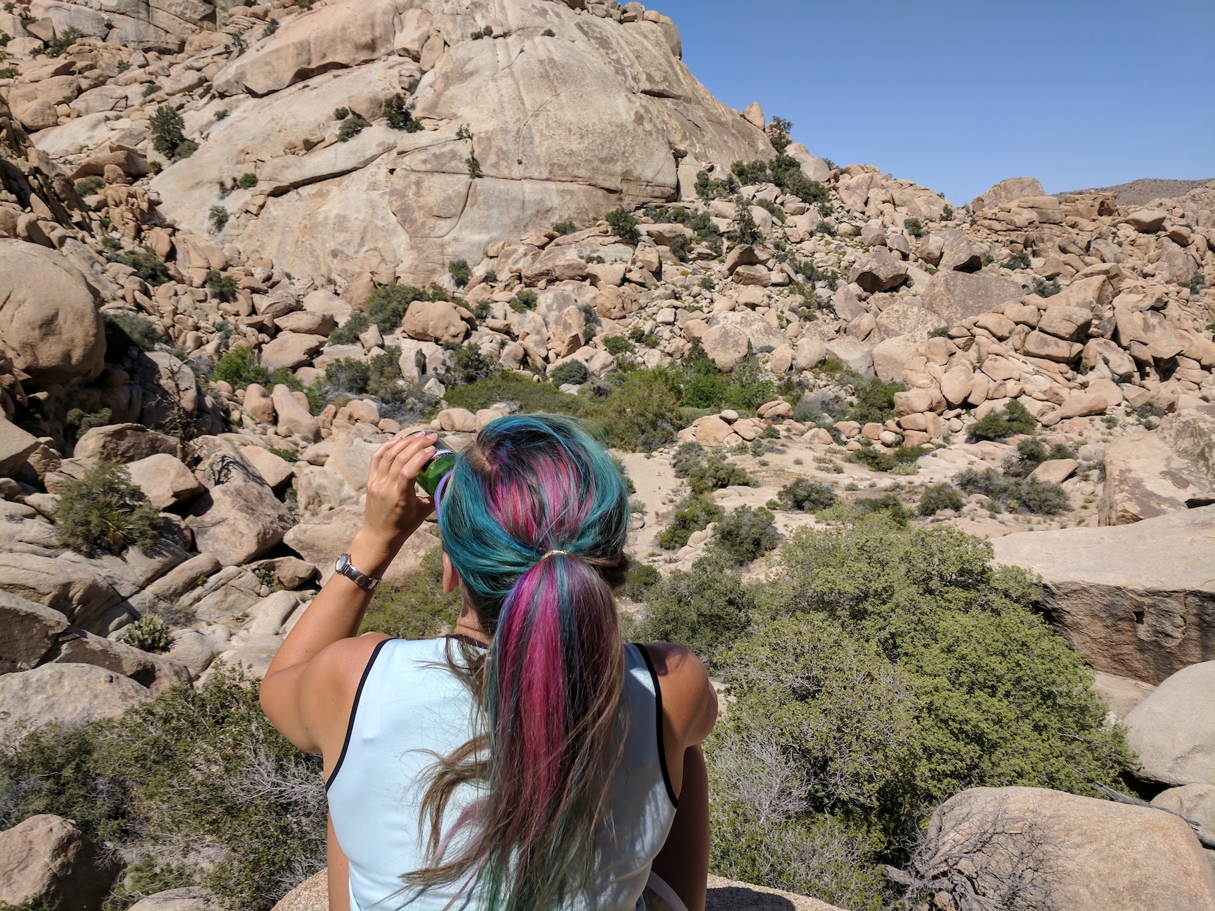 IMG_20170415_142920_resized