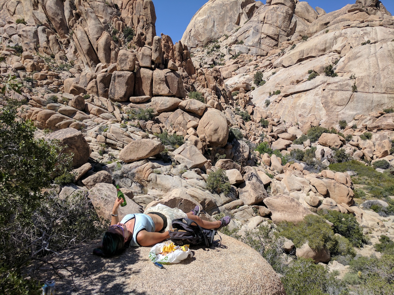 IMG_20170415_143002_resized