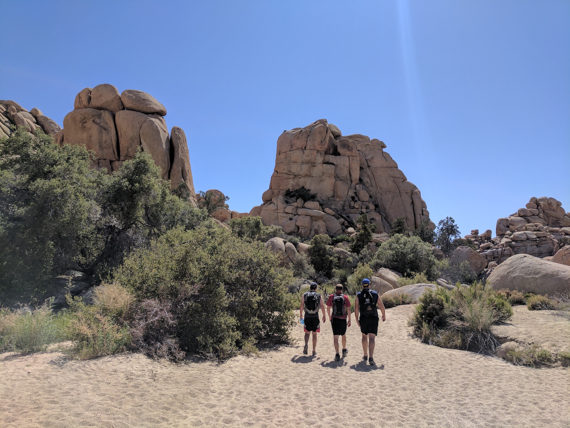 IMG_20170415_144245_resized