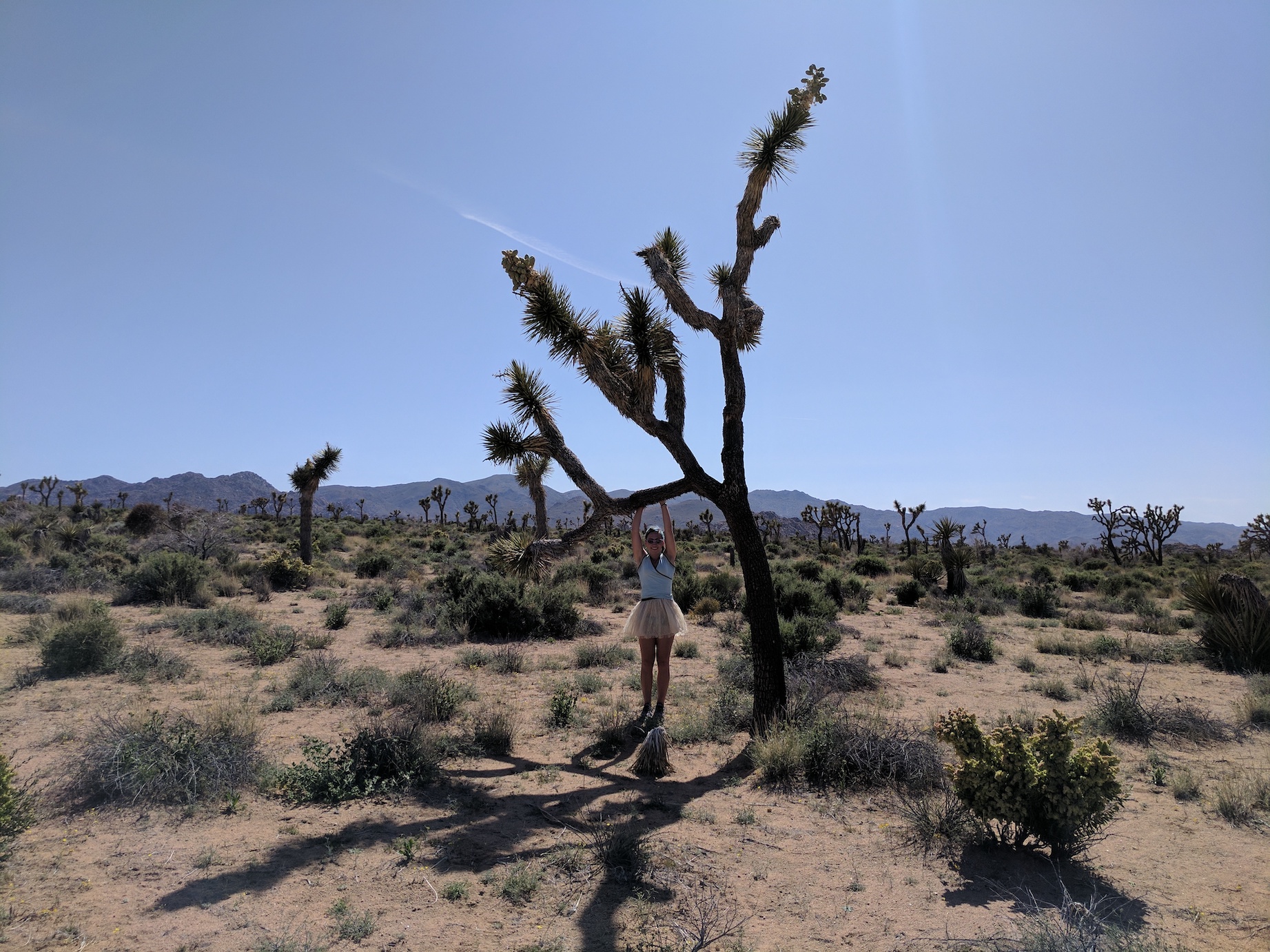 IMG_20170415_152203_resized