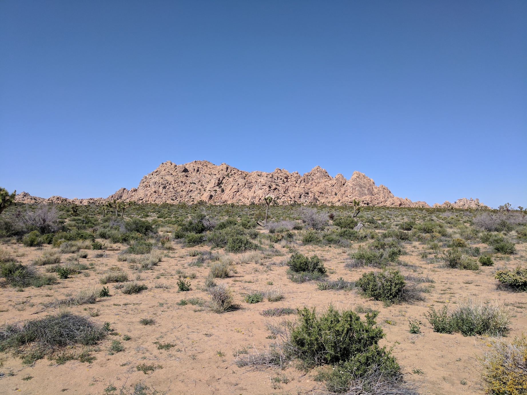 IMG_20170415_152232_resized