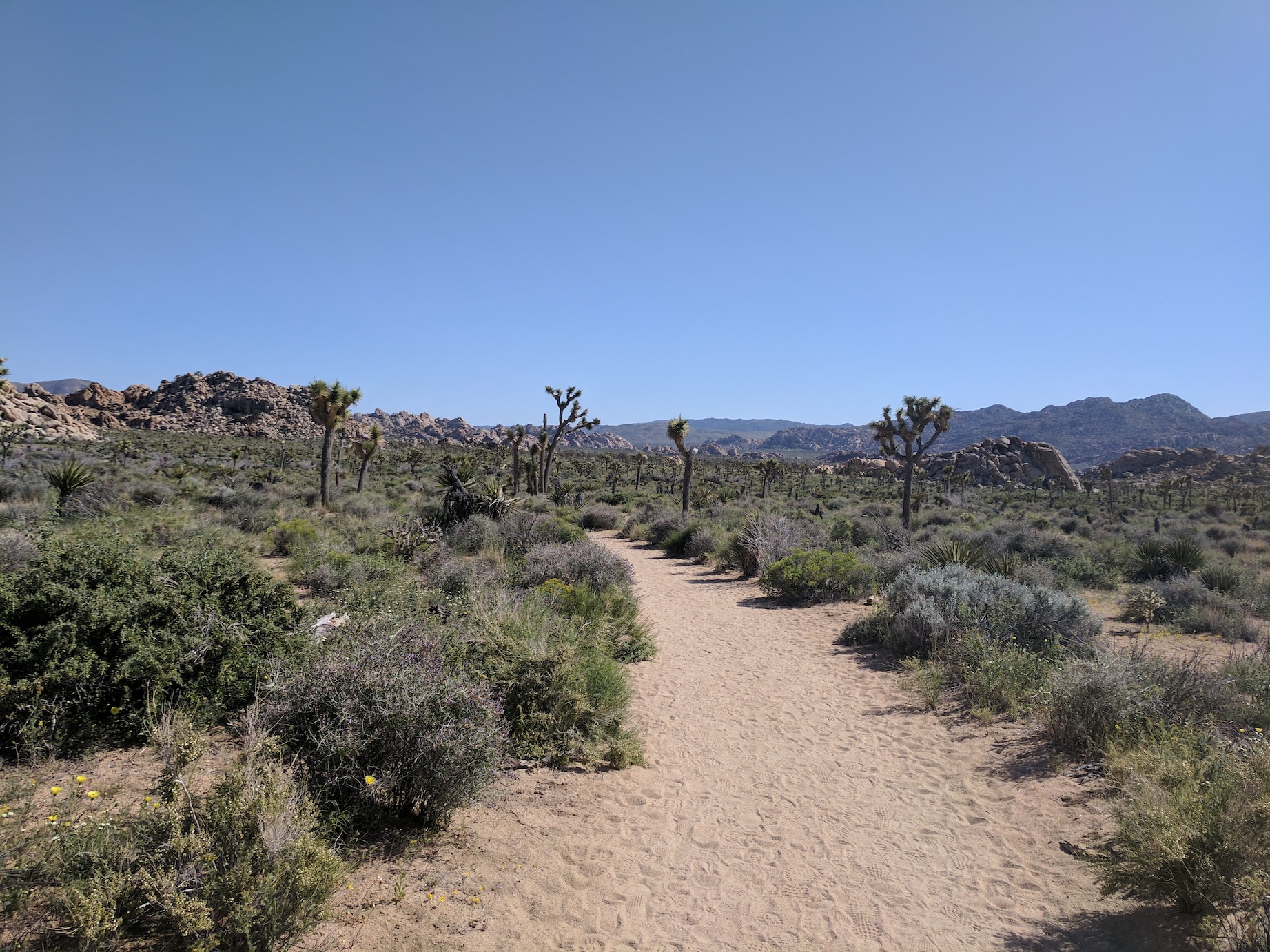 IMG_20170415_153943_resized