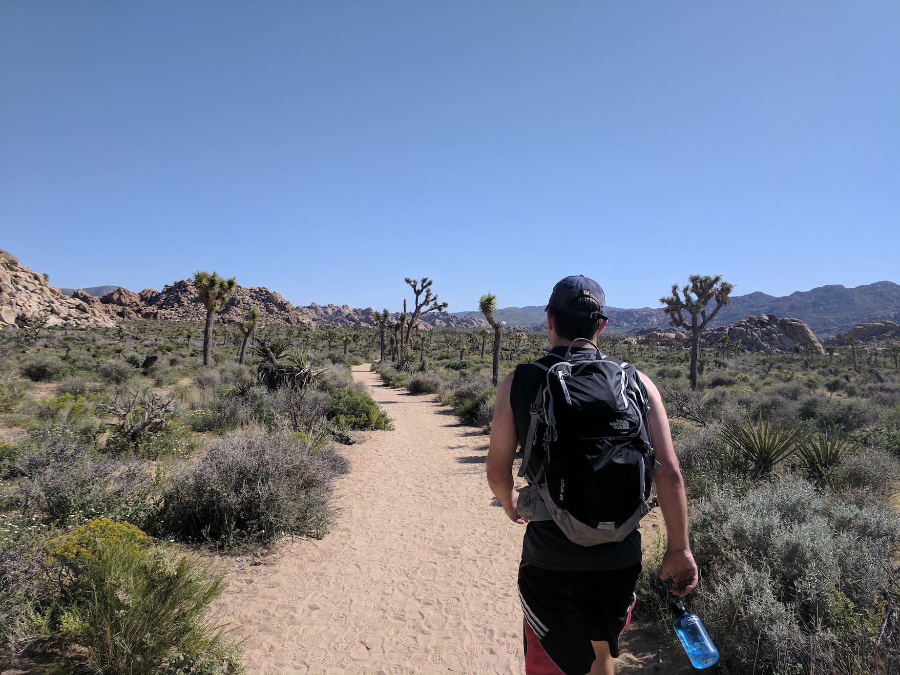 IMG_20170415_153948_resized