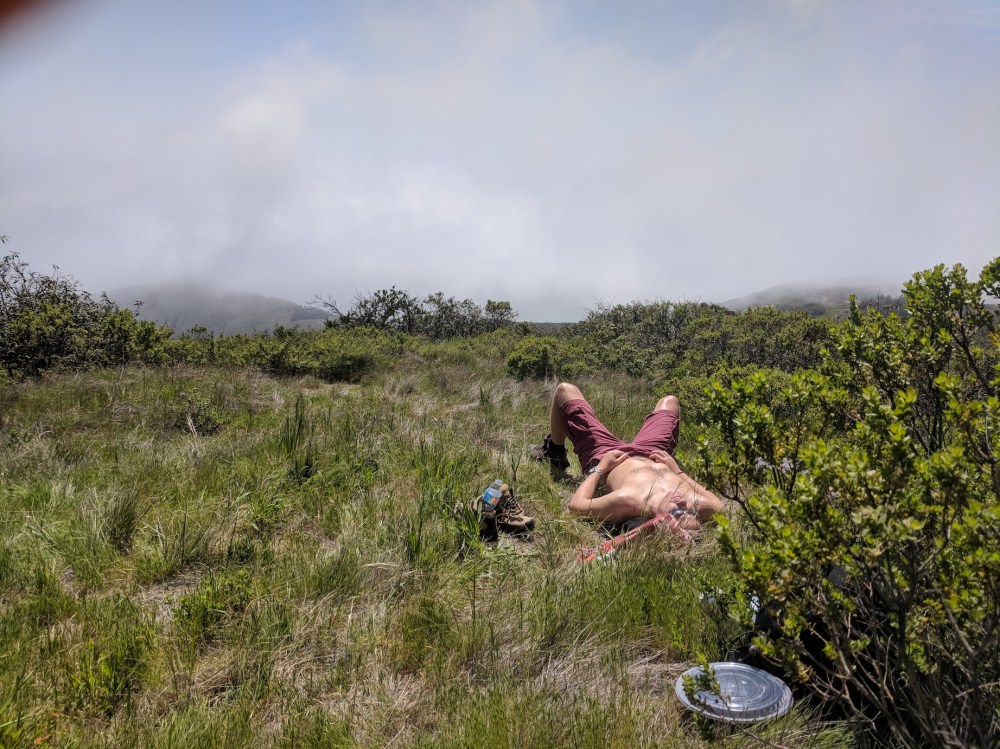 IMG_20180423_135600_resized