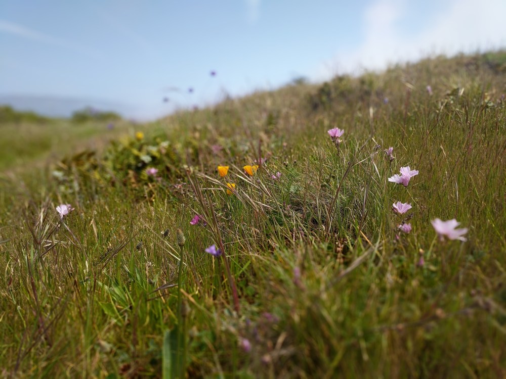 IMG_20180423_142408_resized