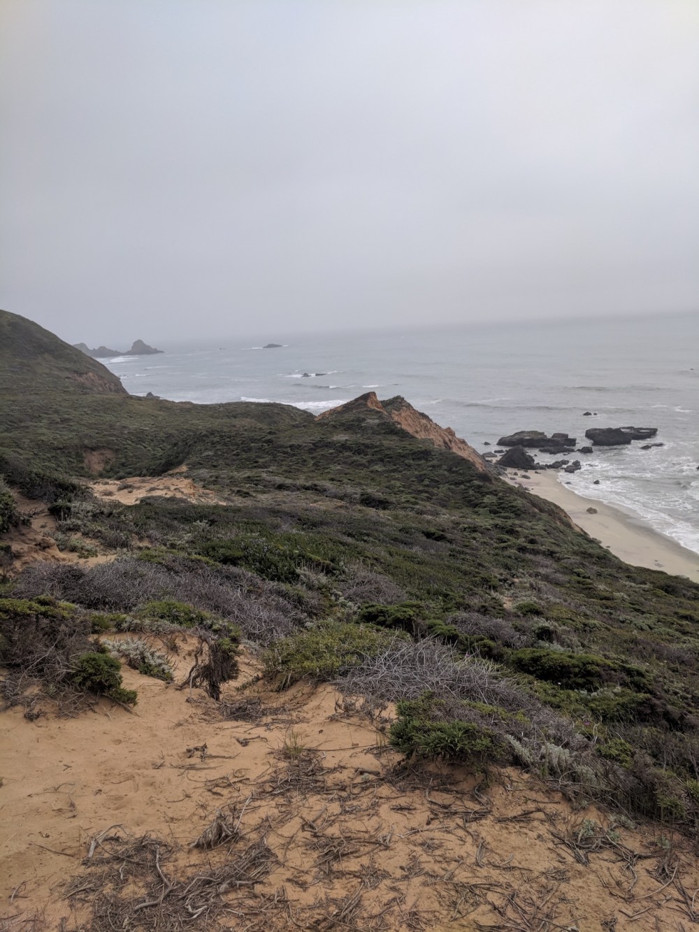 IMG_20180423_150336_resized