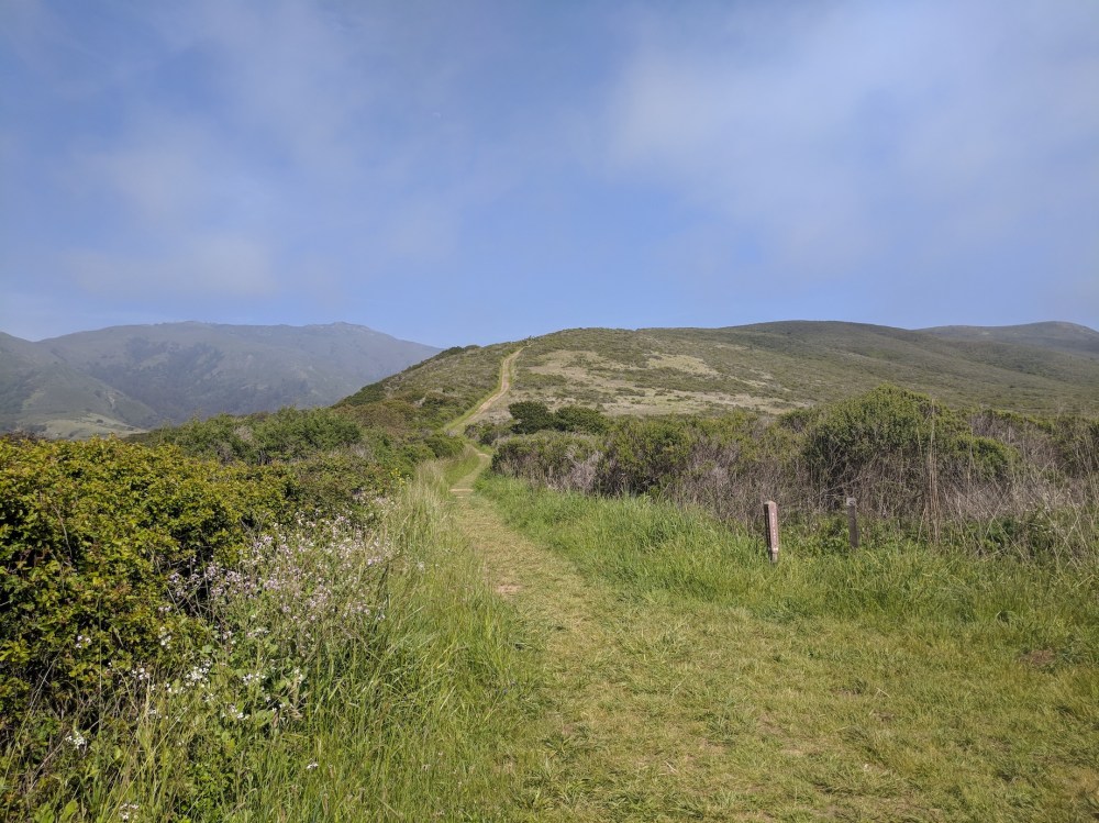 IMG_20180423_153420_resized