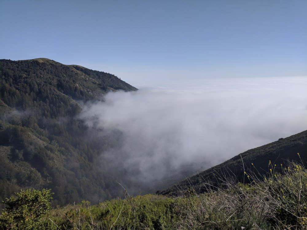 IMG_20180423_171522_resized