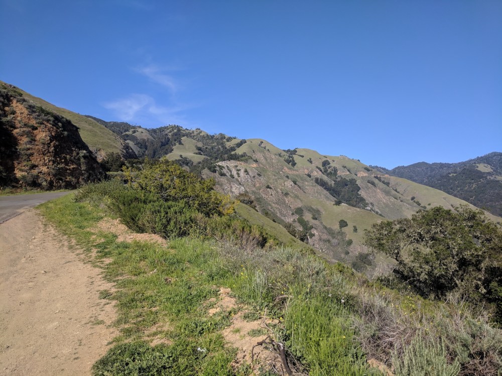 IMG_20180423_171536_resized