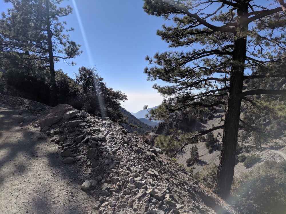 IMG_20181111_115544_resized