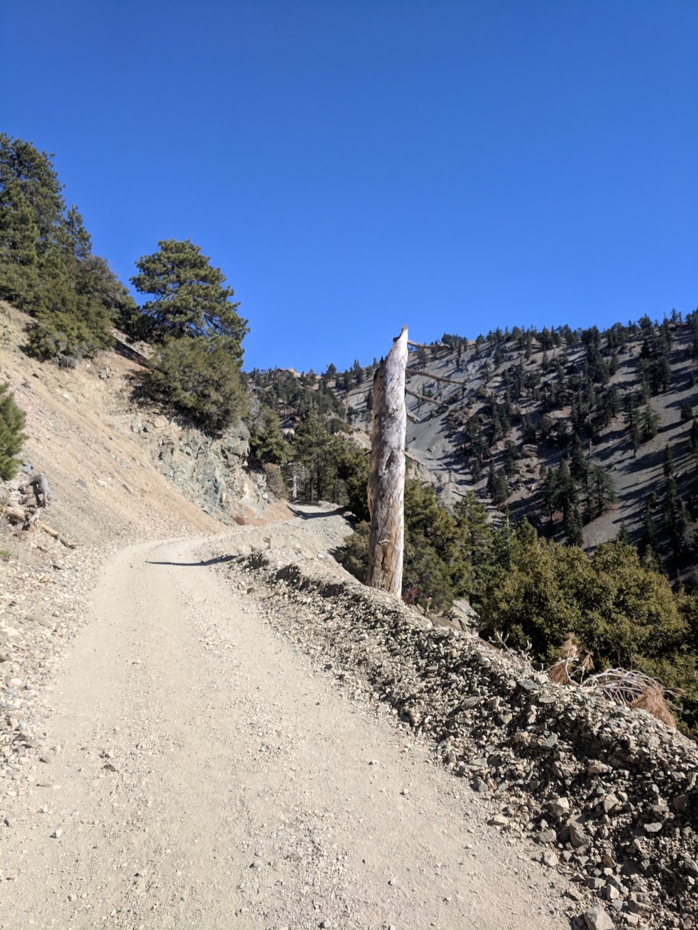 IMG_20181111_120130_resized