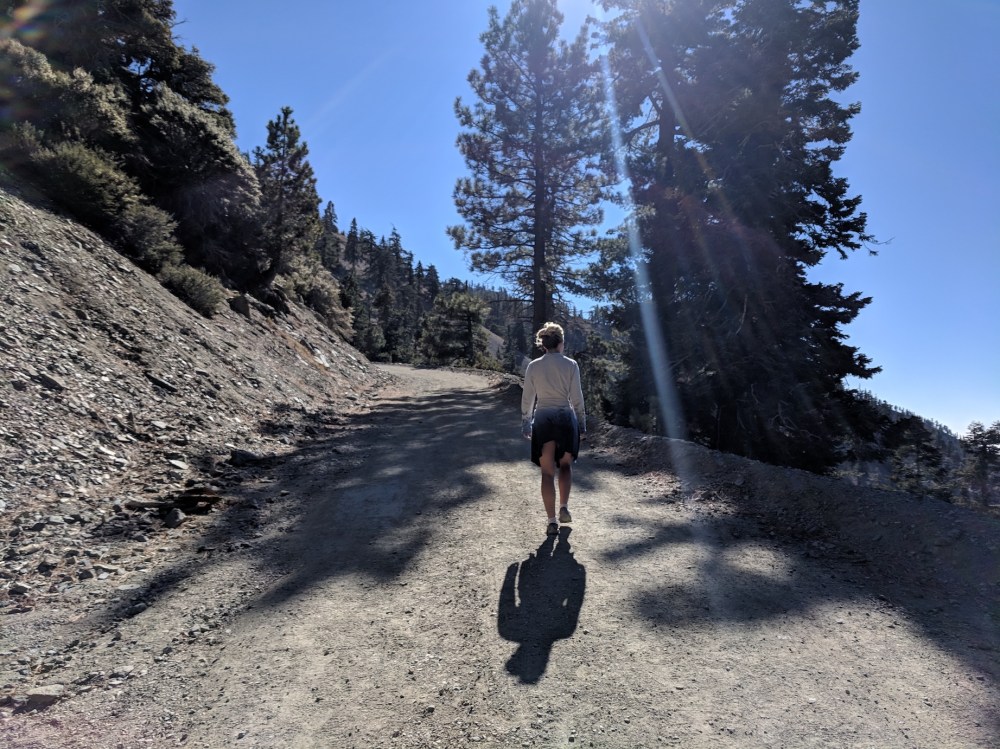 IMG_20181111_120917_resized