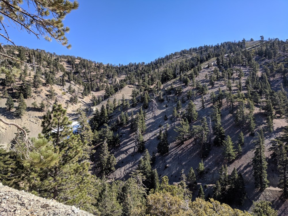 IMG_20181111_122810_resized