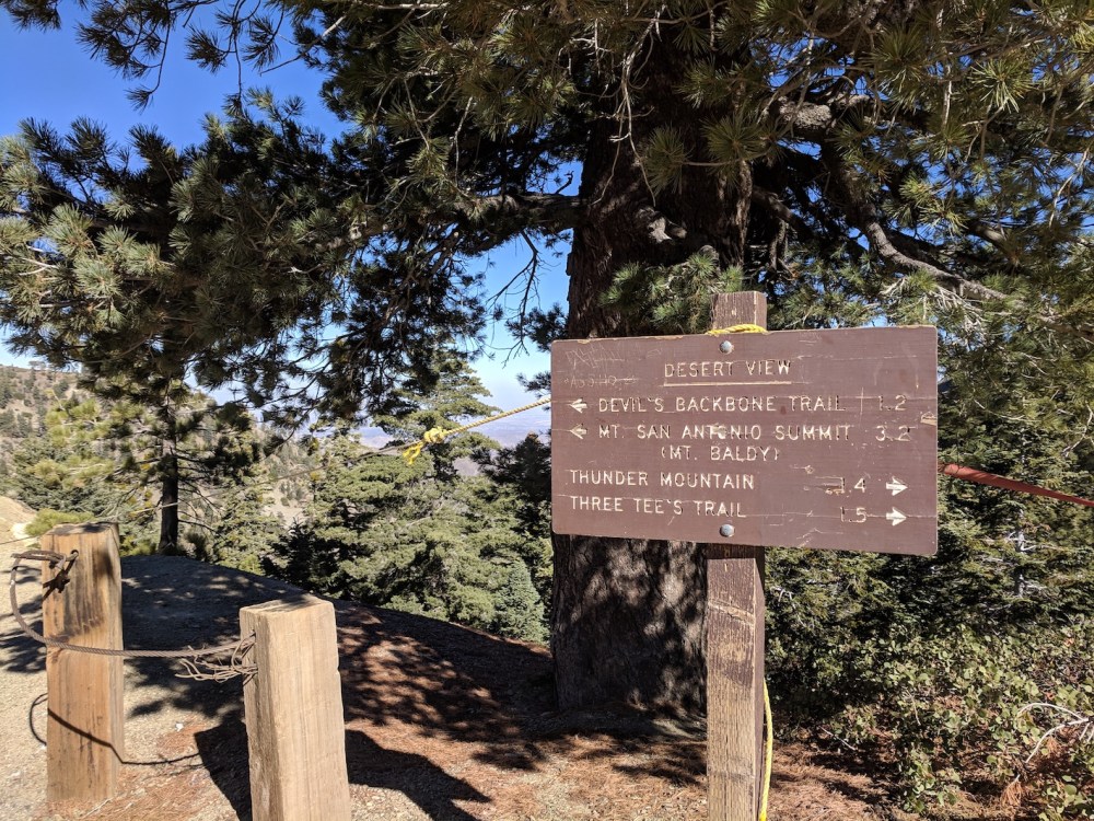 IMG_20181111_124227_resized