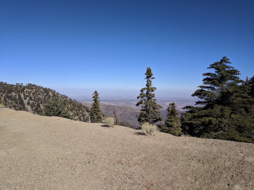 IMG_20181111_124300_resized