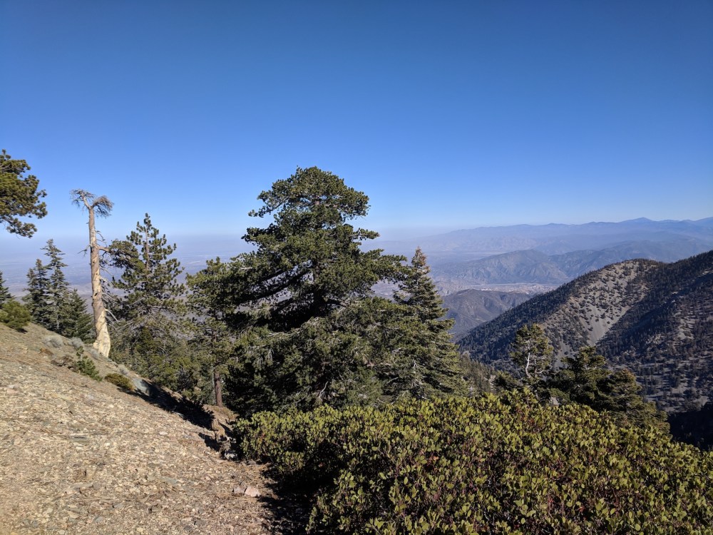 IMG_20181111_130854_resized