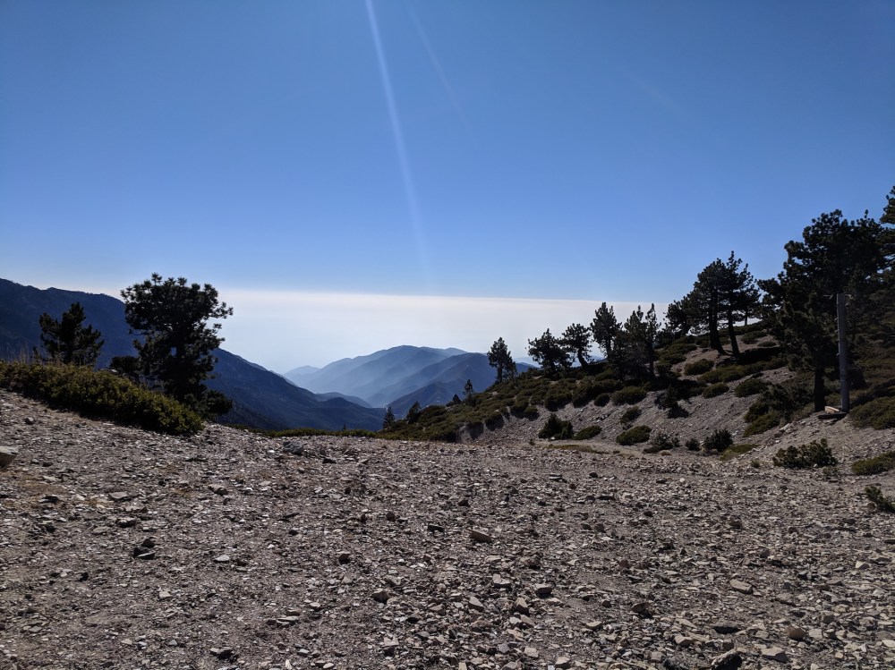 IMG_20181111_131625_resized