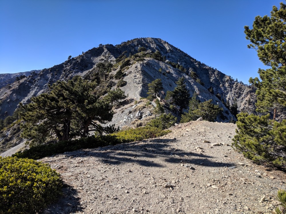 IMG_20181111_131931_resized