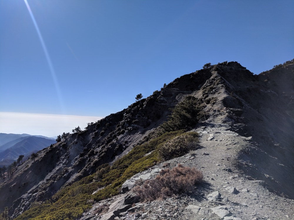 IMG_20181111_132533_resized