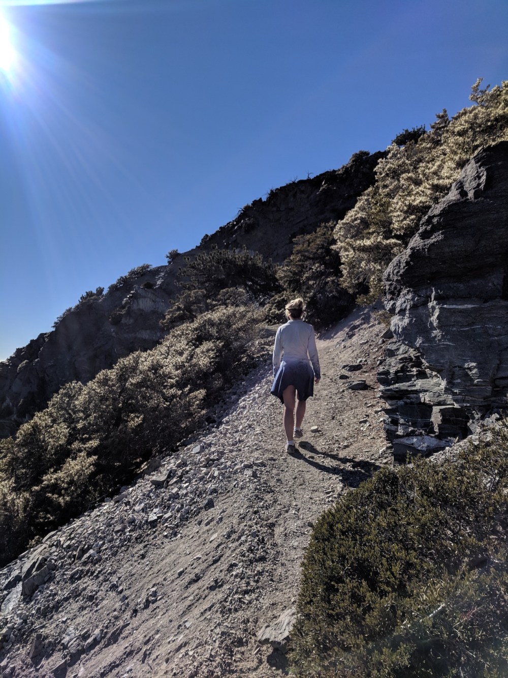 IMG_20181111_132739_resized