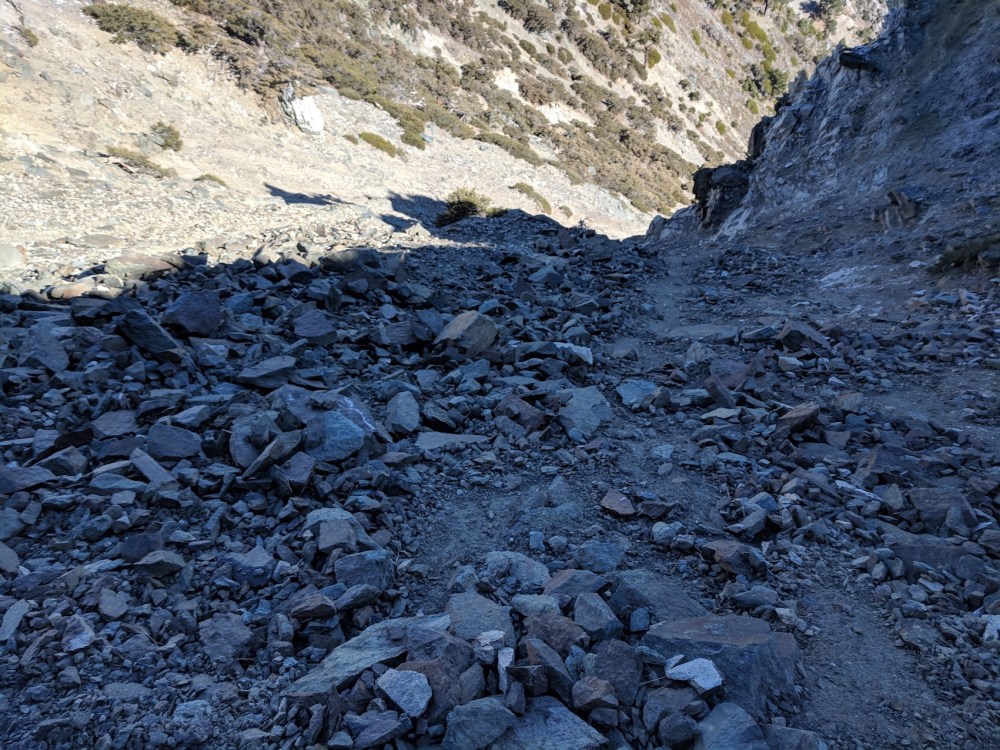 IMG_20181111_133015_resized