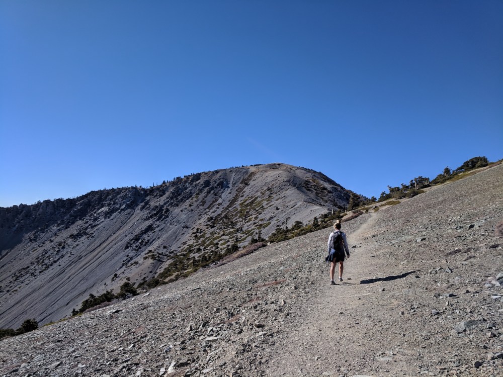 IMG_20181111_134707_resized