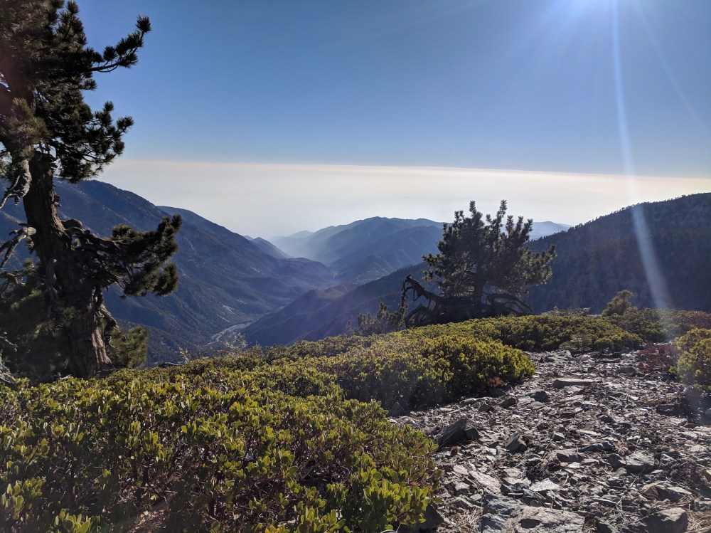 IMG_20181111_145937_resized